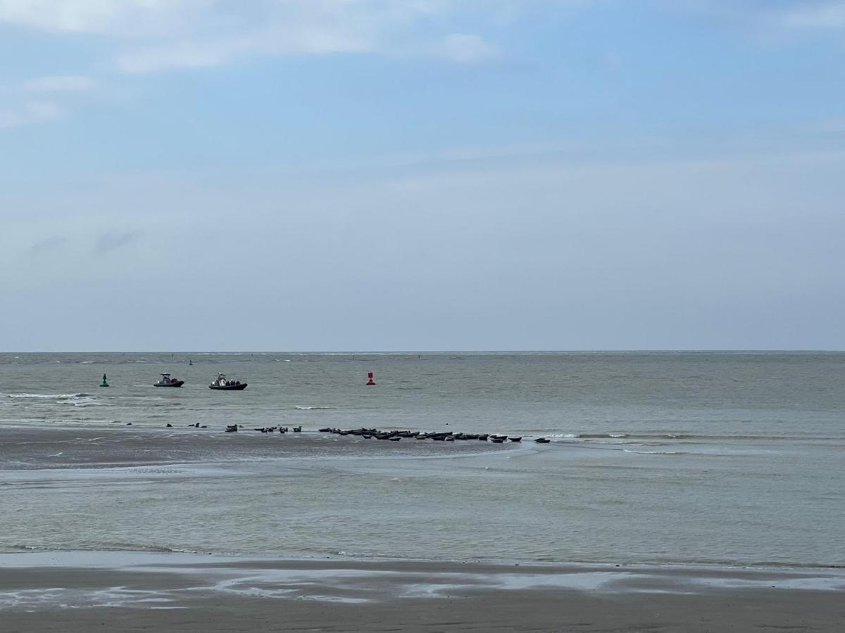Plage A 50M Appartement Reves Etoiles Villa Les Bains De Mers Exterior foto